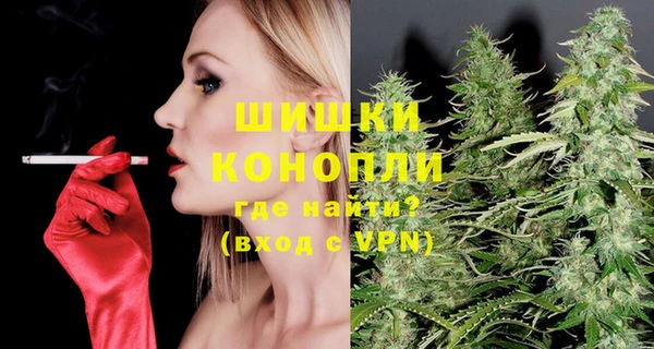 дурь Заводоуковск
