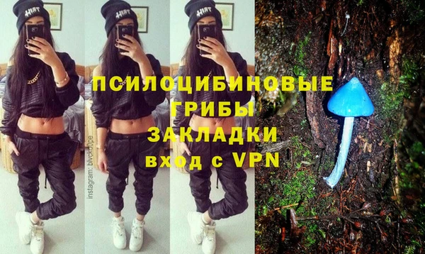 дурь Заводоуковск