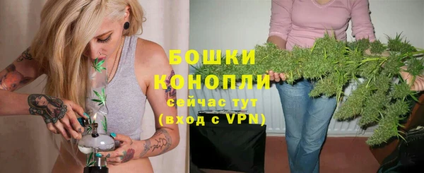 дурь Заводоуковск