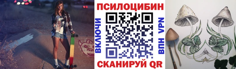 Псилоцибиновые грибы Psilocybe  Купить закладки  Грайворон 